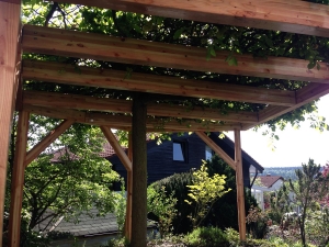 Weisstannenholz